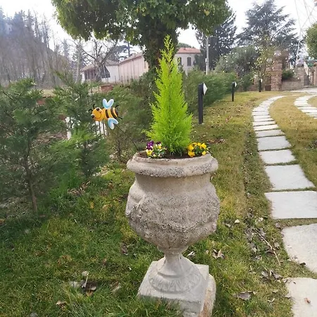 Moon Garden